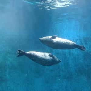 天空已蔚蓝45头像