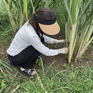 湘乡生活小方头像