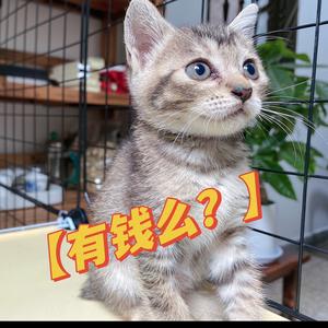 2022年七月头像