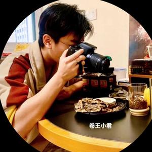 君与神兽卷王小君头像