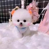 八零后在潮汕打天下头像