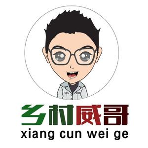 乡村威哥头像