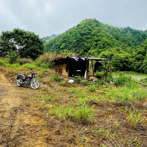 深山农人大浪头像