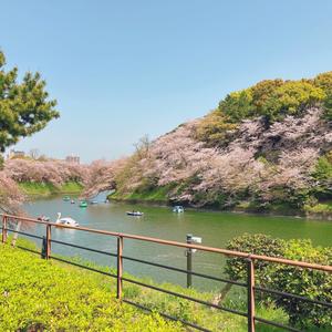 奈奈酱in日本头像