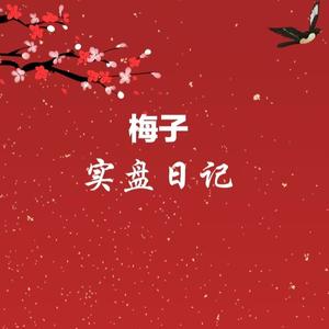 梅子实盘日记头像