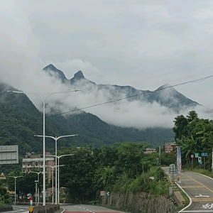 阿财头像
