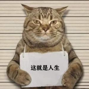 自渡丶他人爱莫能助头像