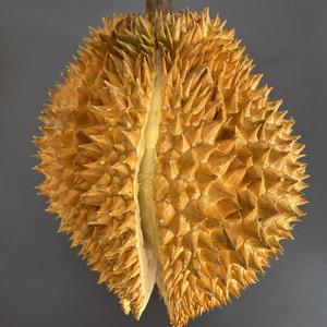 灵妮的厨房头像