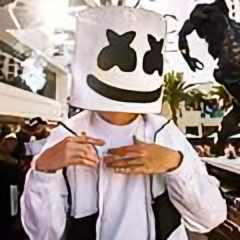 瑞典厨神avicii头像