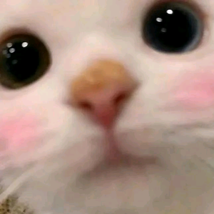 一堆人头像