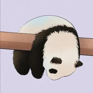 喵喵追剧头像