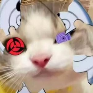 不会取名字头像