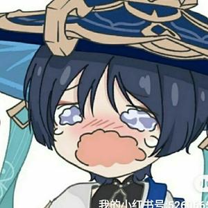 辞瑶屿汐头像