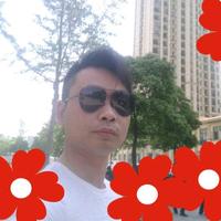 随性自由的柳叶t2t头像