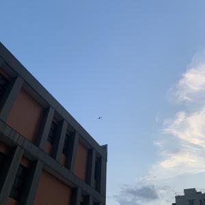 幸运骰子头像