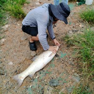 野钓郎当头像