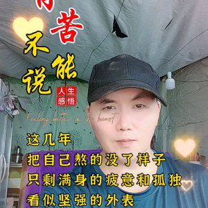 杨四哥头像