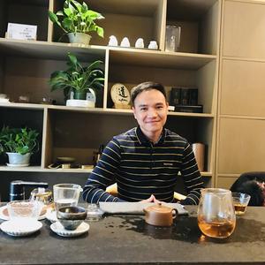 顽强的骑士头像