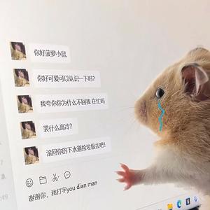 看海头像