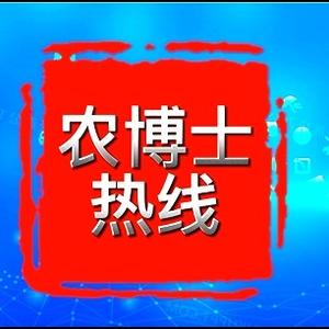 农博士的热线头像