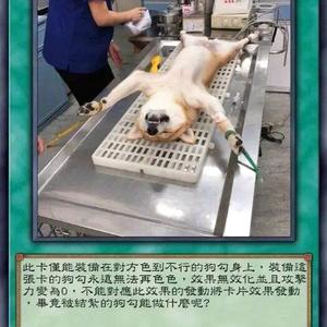 风景顺顺顺头像
