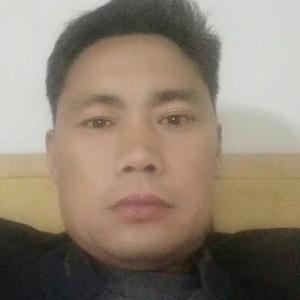 无心一插柳头像