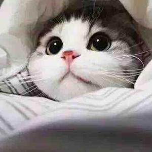 我想云知道头像