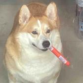 我叫wpx头像