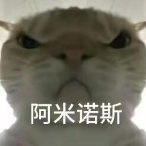 我是猫猫头像